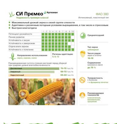 СИ Премео - гибрид кукурузы ( Zea mays L.).