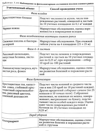 Система защиты рапса от болезней