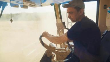 ИТОГИ ОСЕННЕ ПОСЕВА 2020 г. озимой пшеницы сорта «Скипетр»_КФХ Неживилов А.Н.