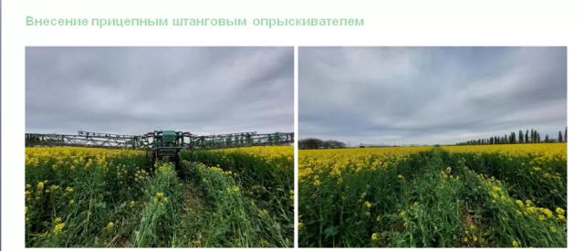 Опыт внесения фунгицида Кустодия,КС на озимый рапс дроном XAG V40
