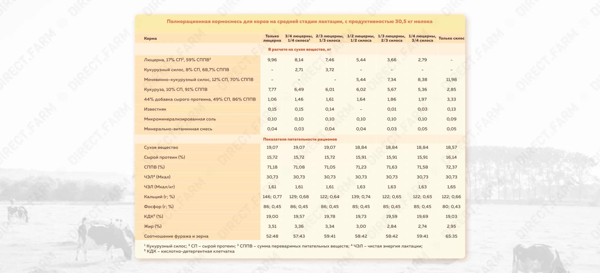Рацион для коров на средней стадии лактации