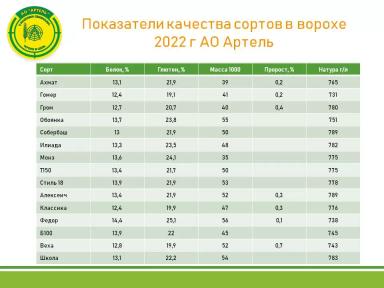 Линейка сортов озимой пшеницы Артель 2022
