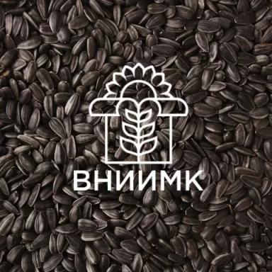 Семена подсолнечника ВНИИМК сорт Консул