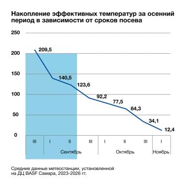 🌾 Озимые готовы к перезимовке!