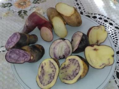 Мой друг Густаво