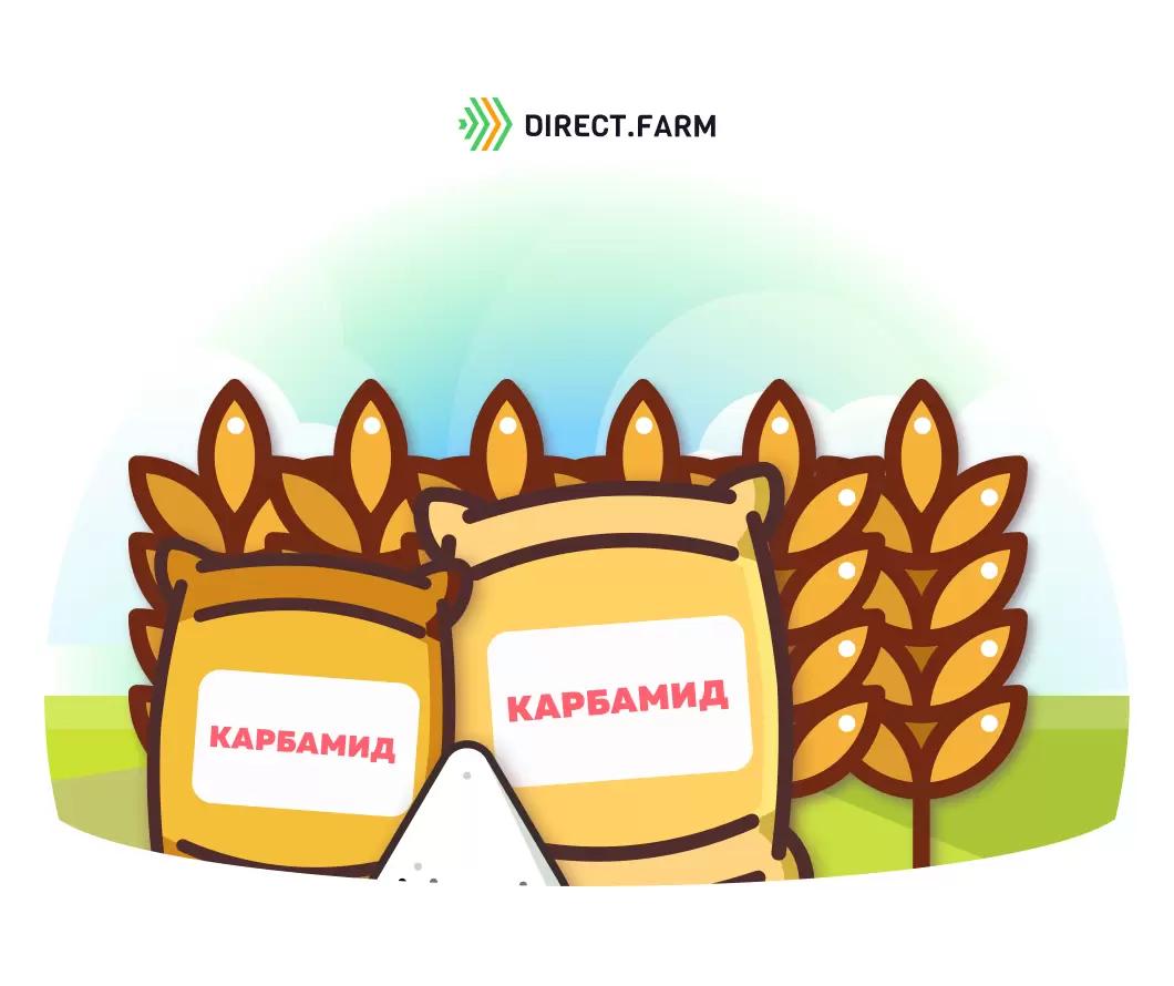 Подкормка пшеницы карбамидом для повышения качества зерна