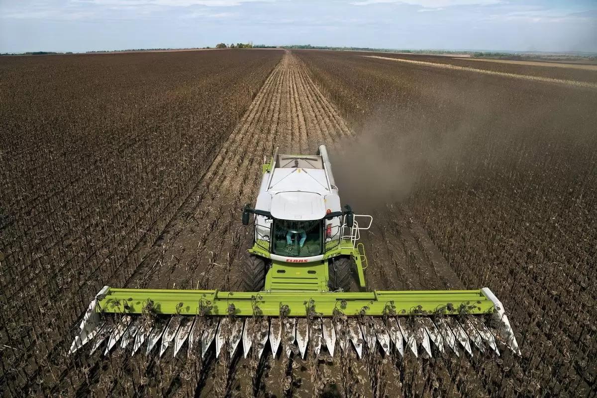 Безрядковая жатка: какие преимущества и особенности работы?