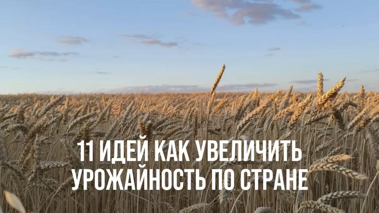 11 ИДЕЙ КАК УВЕЛИЧИТЬ УРОЖАЙНОСТЬ ПО СТРАНЕ ДЛЯ ДОСТИЖЕНИЯ 170 МЛН Т.