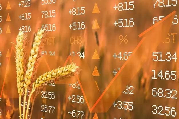 Agrarheute: Откуда столько дешевой пшеницы?