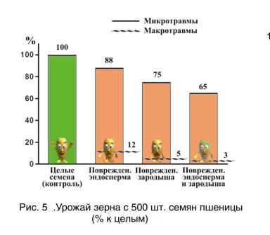 Влияние травмирования семян на их посевные качества