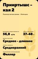 Прииртышская 2