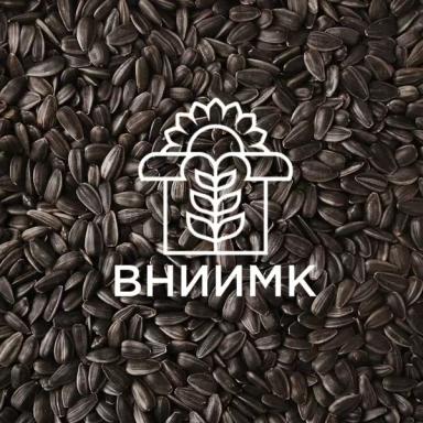 Семена подсолнечника крупноплодных сортов КОНСУЛ / ДЖИНН / КОНДИТЕР / СПК ПЛЮС