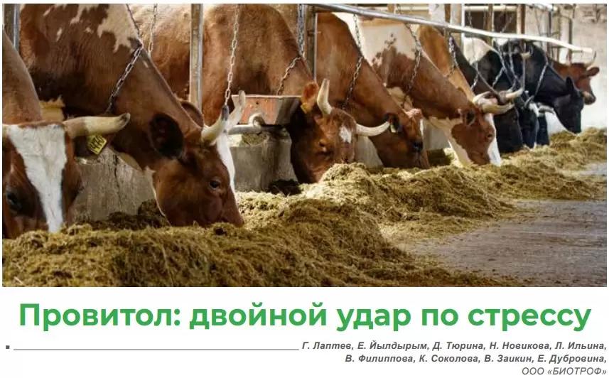 Провитол: двойной удар по стрессу.