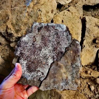 К чему может привести неправильная организация работы с песком для коров.