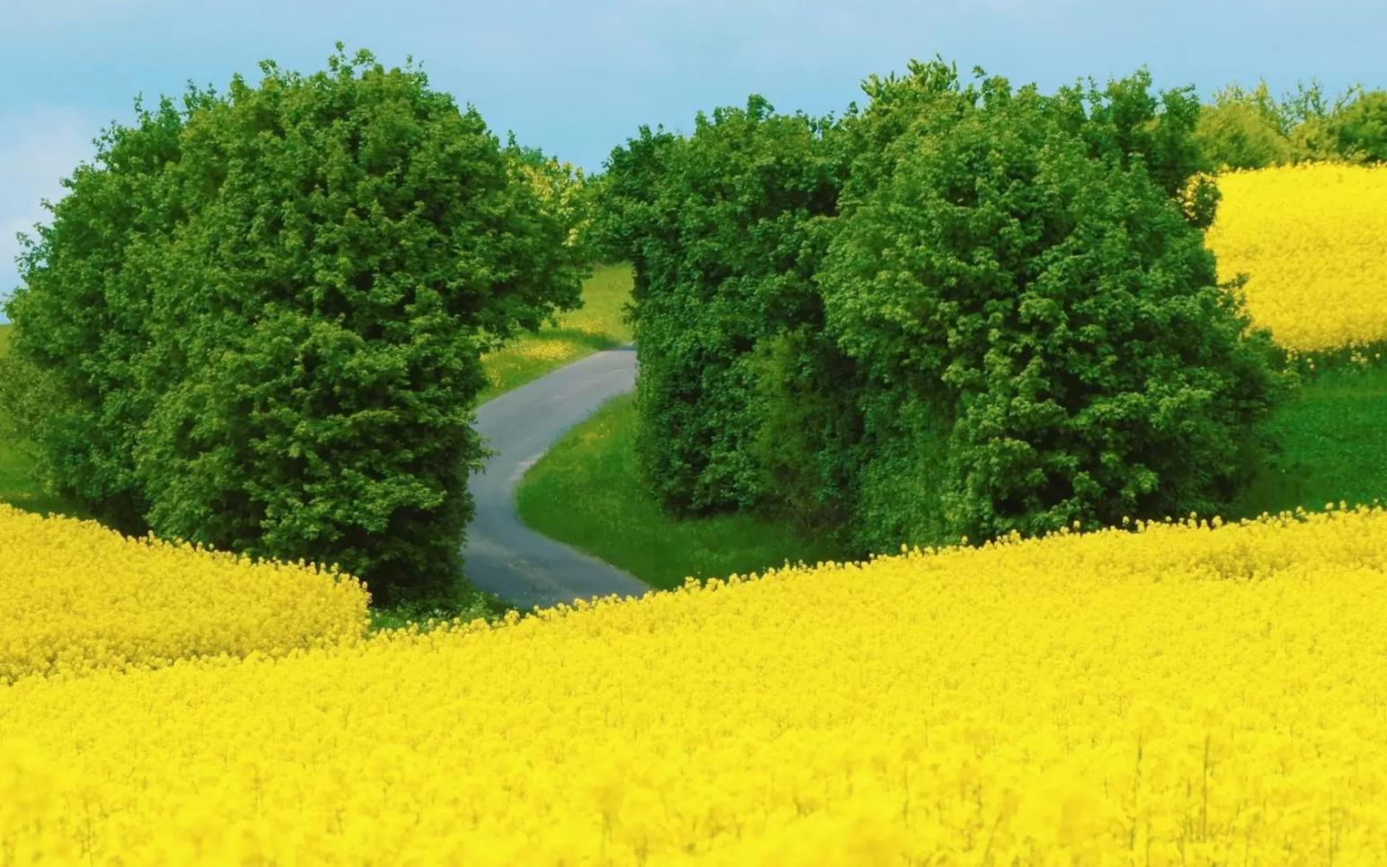 Скоро лето! ☀🍀🌷