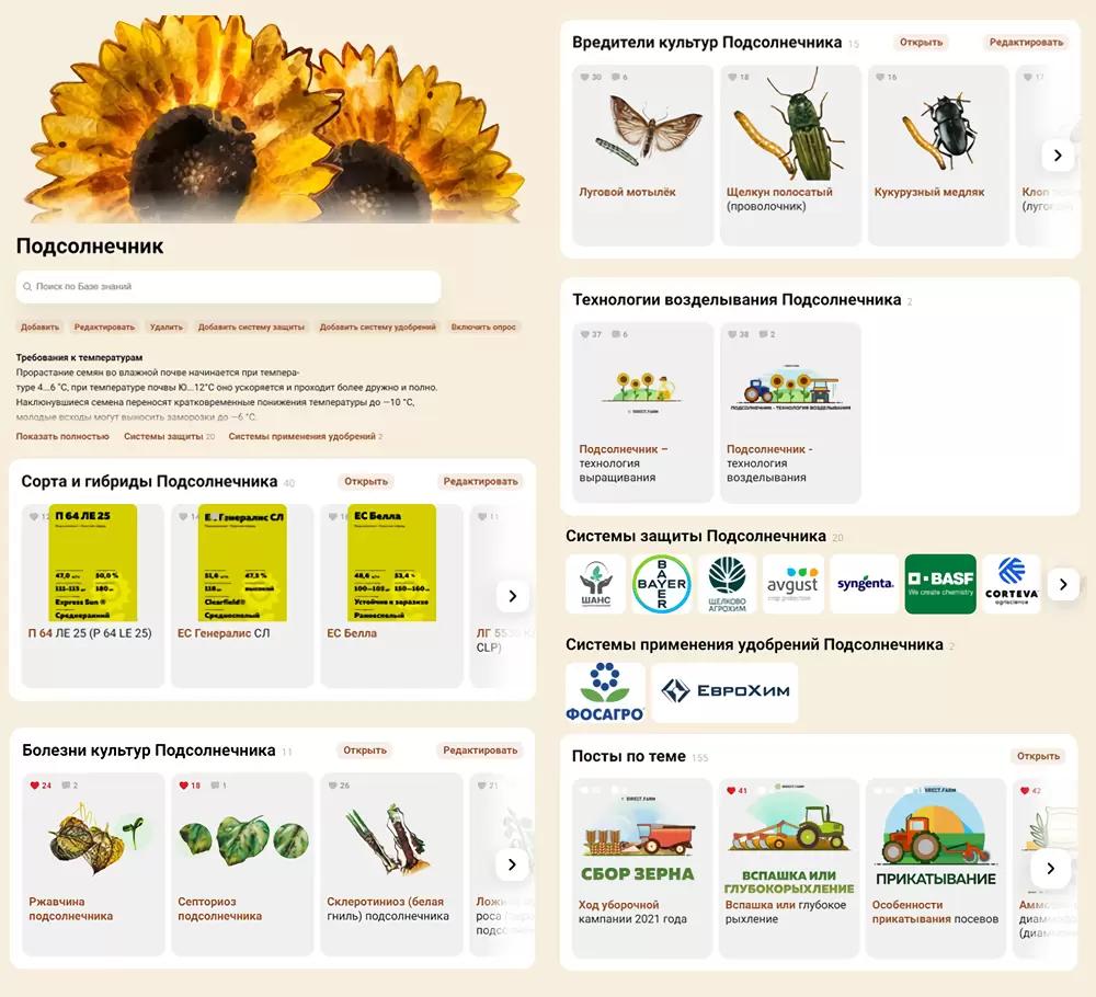 Подсолнечник: сорта, болезни, вредители, технологии
