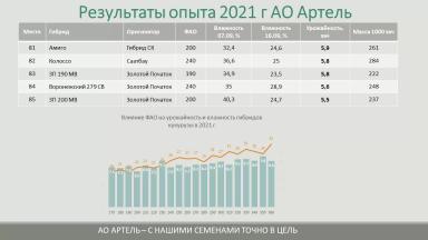 Результаты испытания гибридов кукурузы на площадке АртПолигон