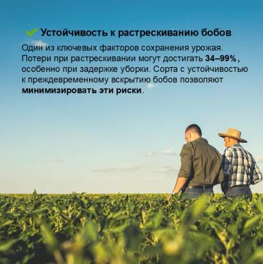 Соевый агрокалендарь