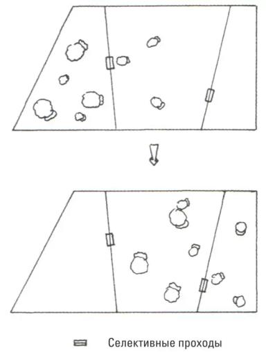 Дюдэ – Овцеводство. Гл. 14, 15-1. Типы продукции. Пастбищное выращивание ягнят