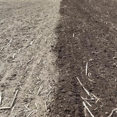 НОВЫЙ КОНКУРЕНТ HORSCH JOKER: борона Iskander из Челябинска...