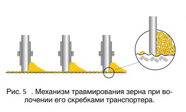 Механические повреждения семян