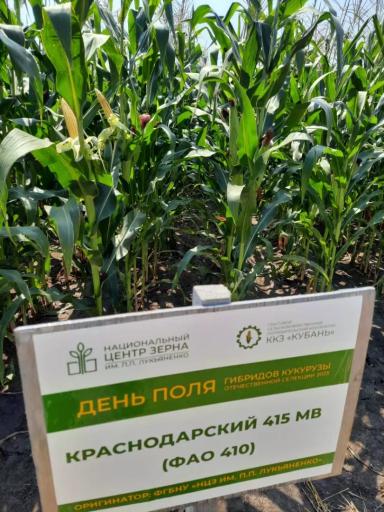 Краснодарский 415 МВ