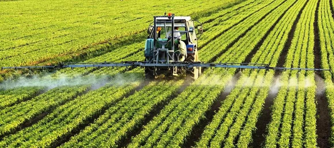 Минэкономразвития ищет способ рассрочки оплаты пошлин на импортные семена и СЗР