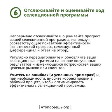 Интеграция концепций количественной генетики в селекционную программу.