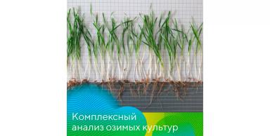 Осенний анализ семян