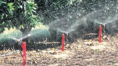 Дождевальный полив