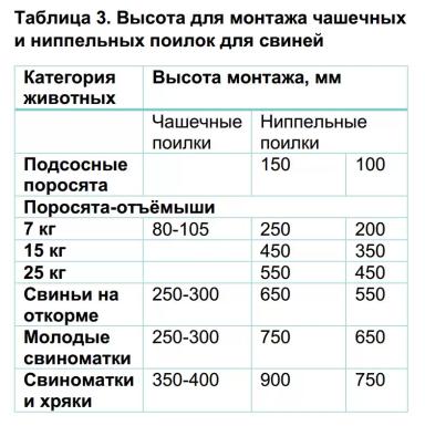 На что обращать внимание при обеспечении свиней водой