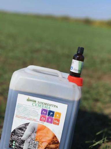 формирование крепких всходов в сложных условиях