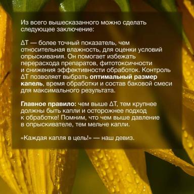 🌿 Влажность воздуха — главный союзник защиты растений!