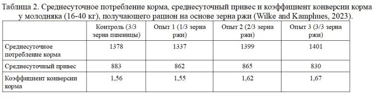 Возвращение к зерну ржи в кормлении свиней