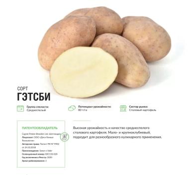 Гэтсби
