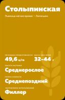 Столыпинская