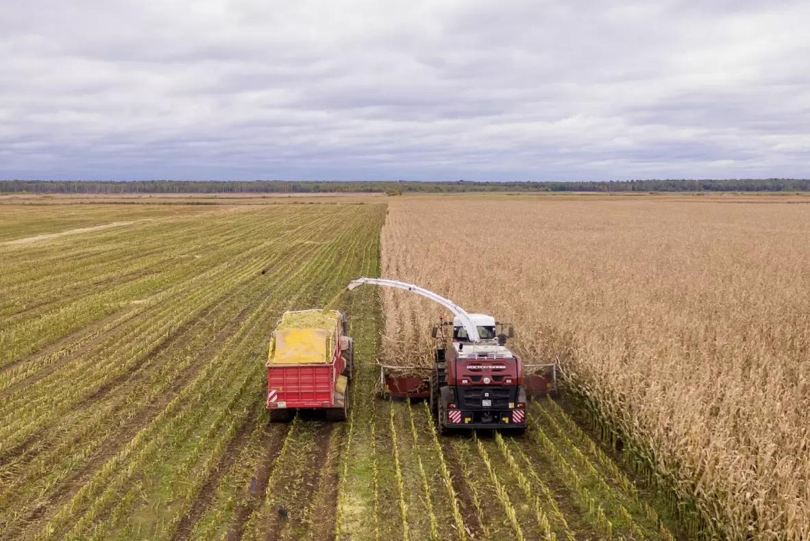Как мы можем оценить качество заготовок и проверить работу комбайна?