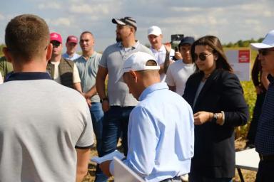 День соевого поля 🌱