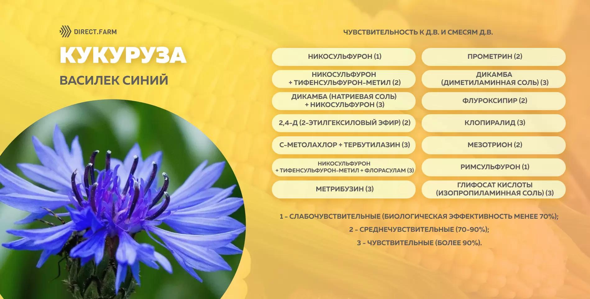 Шпаргалка чувствительности василька синего к д.в. гербицидов