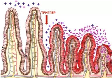 Фитобиотик нового поколения