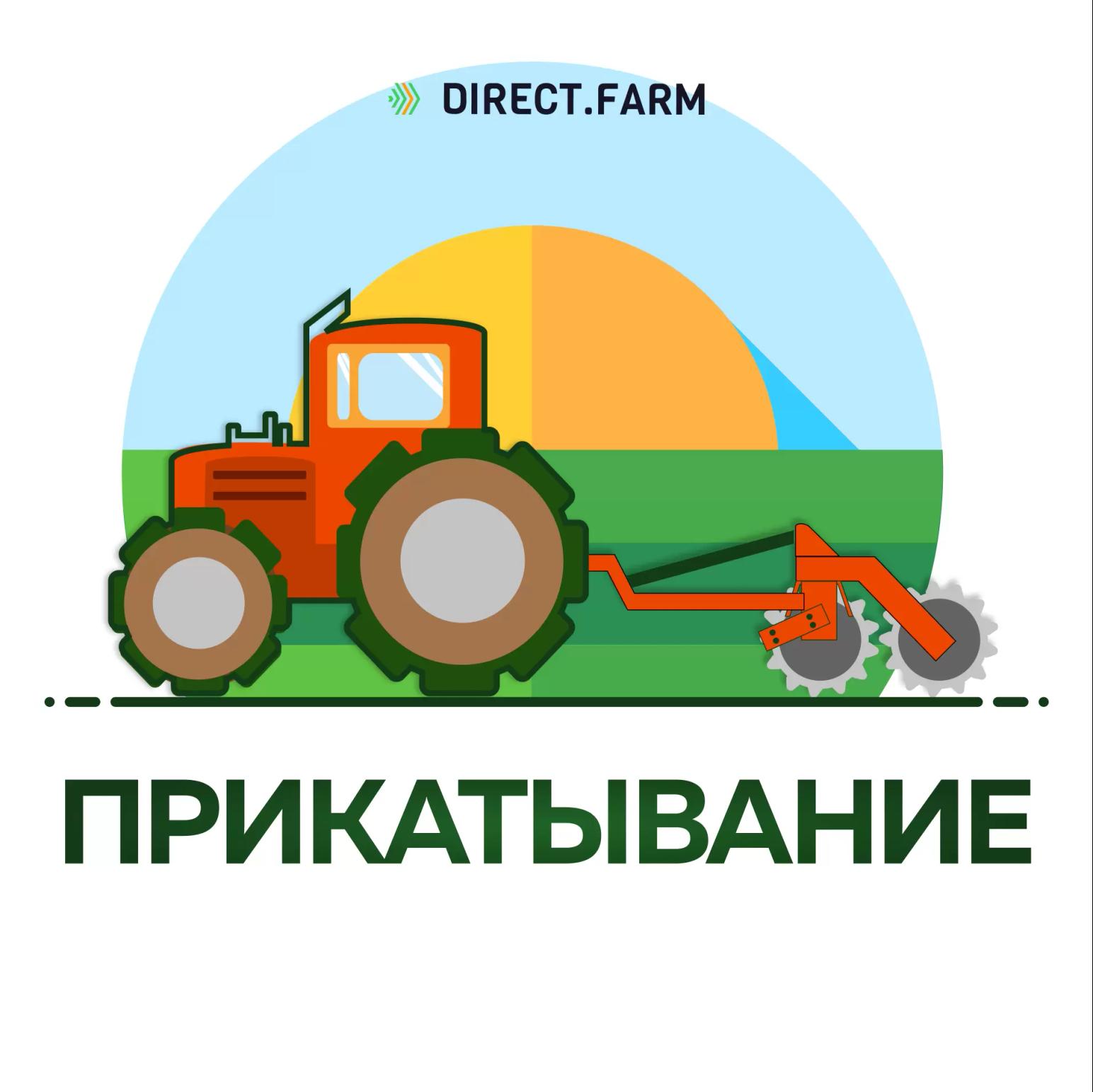 Когда и чем лучше прикатывать?