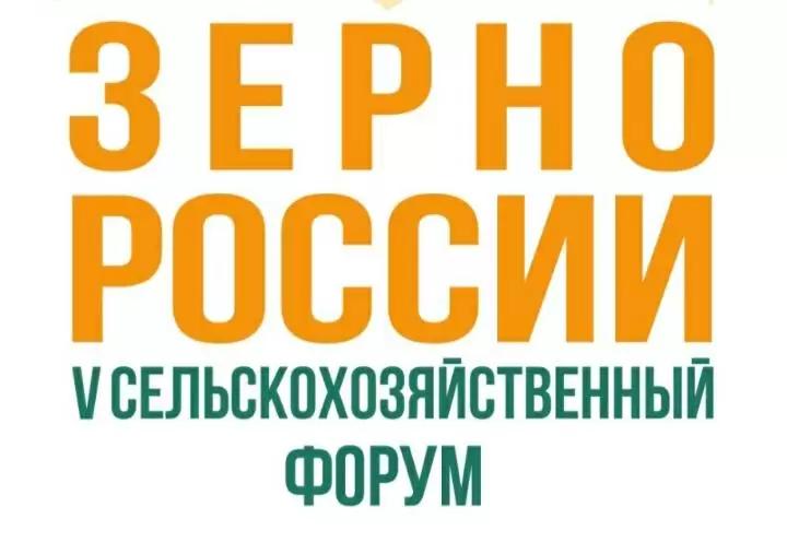 Зерно России 2021