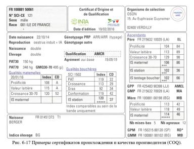 Дюдэ – Овцеводство. Гл. 6. Генетическое улучшение. Ч. 3