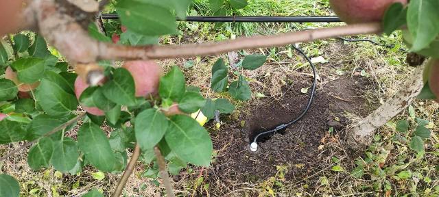 Новинка в Калина Агро - Датчики влажности почвы Sentek