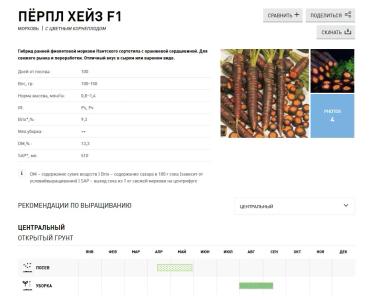 Пёрпл Хейз F1 (PURPLE HAZE) (фиолетовая)