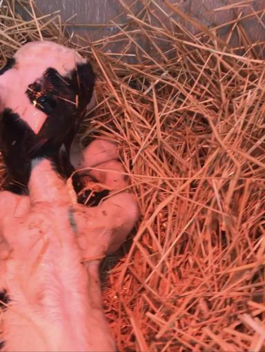 “Эстафета ответов” 