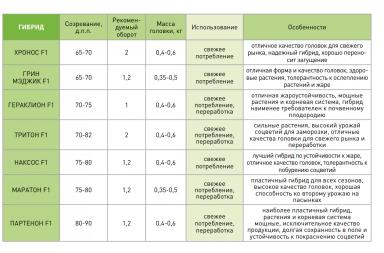 Хронос F1(CHRONOS)