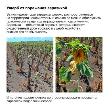 Экономические потери от заразили