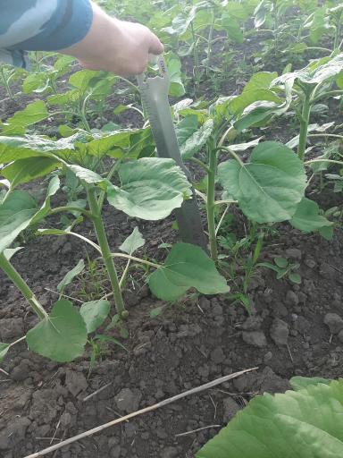 Агромониторинг 