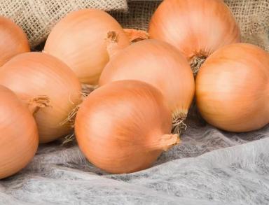 Алонсо F1 (ALONSO)